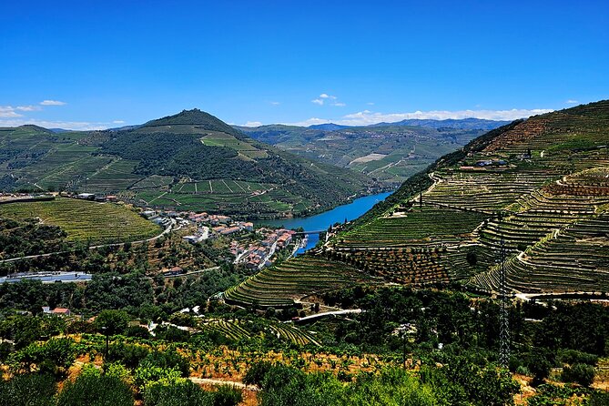 Douro Valley and Green Wine with Tastings, Chef Lunch and Boat - What Makes This Tour Stand Out