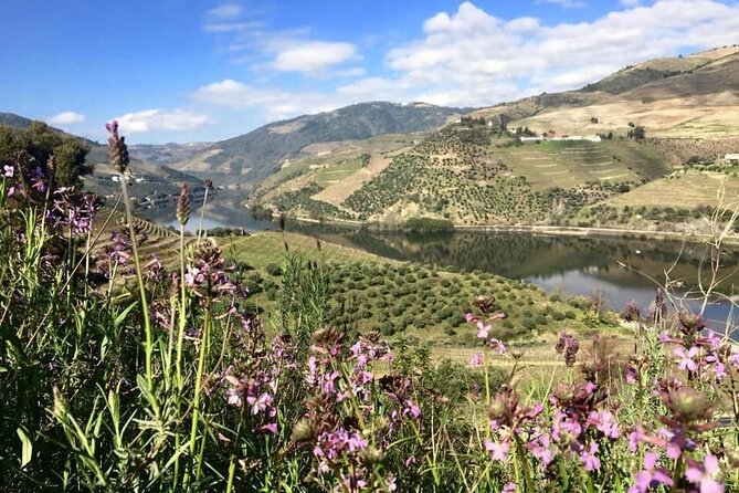 Douro Valley and Régua Panoramic Cruise with Lunch from Porto - Régua: The Heart of Portugal’s Wine Heritage