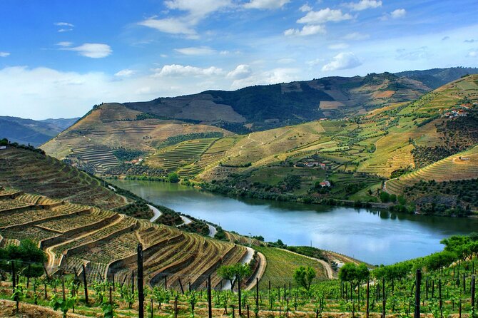 Douro Valley and Régua Panoramic Cruise with Lunch from Porto - The Romantic Douro River Cruise