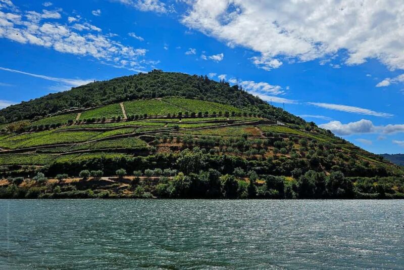 Douro Valley and Vinho Verde: 2 Wineries, Lunch, and a Rabelo Boat Ride - Key Points