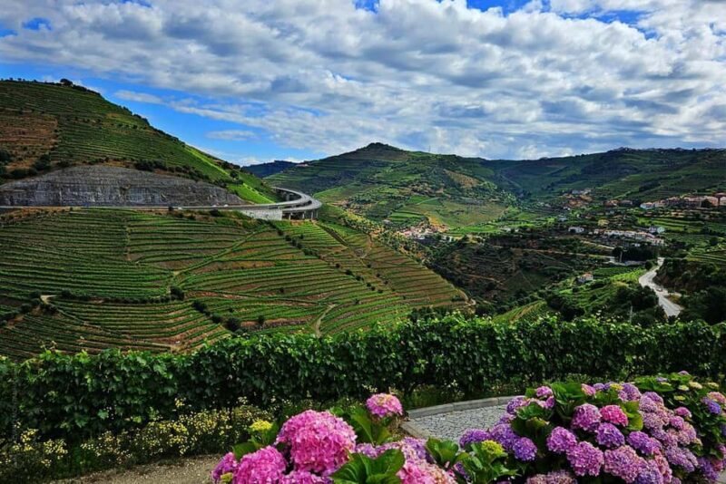 Douro Valley and Vinho Verde: 2 Wineries, Lunch, and a Rabelo Boat Ride - Exploring the Douro’s Prestigious Port Wine Estate