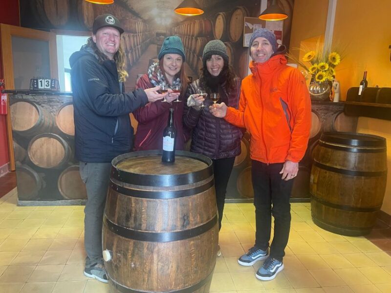 Douro Valley: Authentic Wine Tour - Key Points