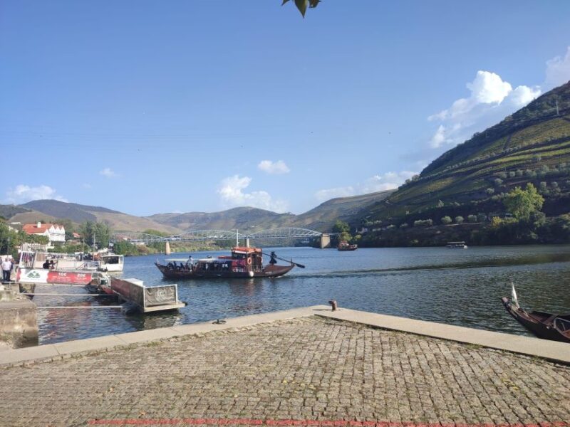 Douro Valley: Authentic Wine Tour - Visiting a Breathtaking Winery with Panoramic Views