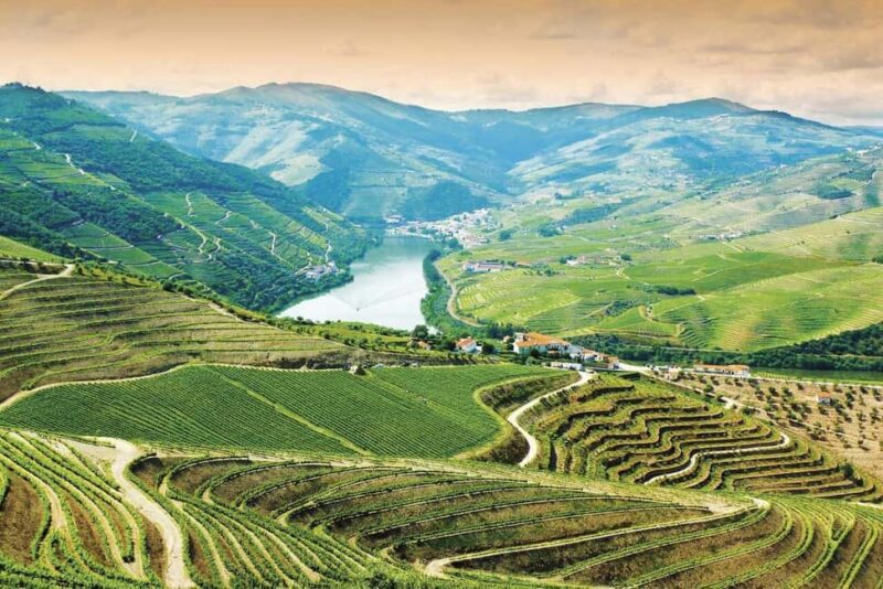 Douro Valley: Cruise & vineyard discovery from Porto or Aveiro - Douro Valley: Cruise & Vineyard Discovery from Porto or Aveiro