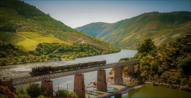 Douro Valley: Cruise & vineyard discovery from Porto or Aveiro - Key Points