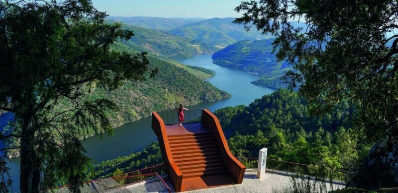 Douro Valley: Cruise & vineyard discovery from Porto or Aveiro - Visiting the Top Vineyards in the Douro