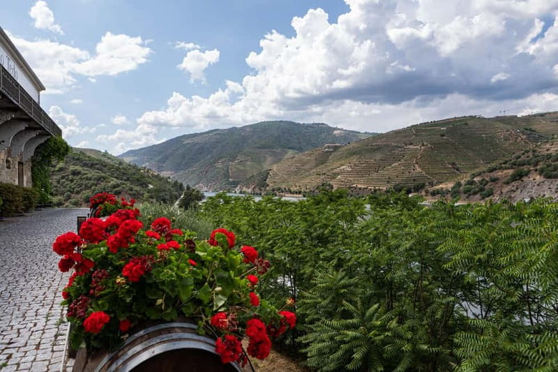Douro Valley: Discover the Wine Region with Tastings. - Visiting the Historic Pinhão Train Station