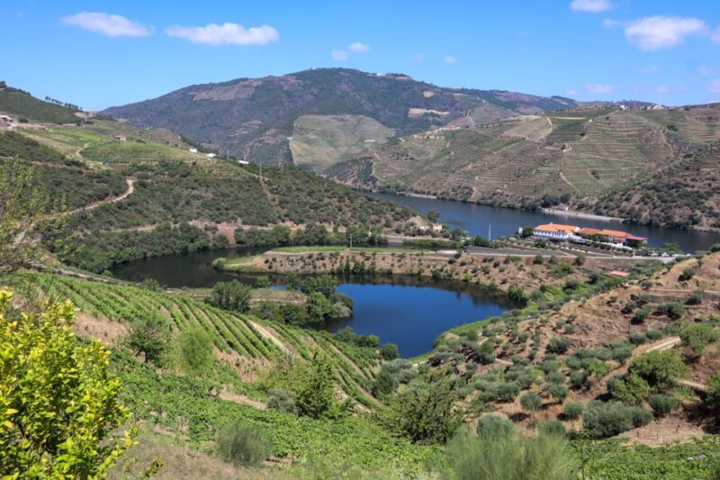 Douro Valley: Douro Valley Tour Including 3 Wineries - Visiting Three Top Wineries in the Douro