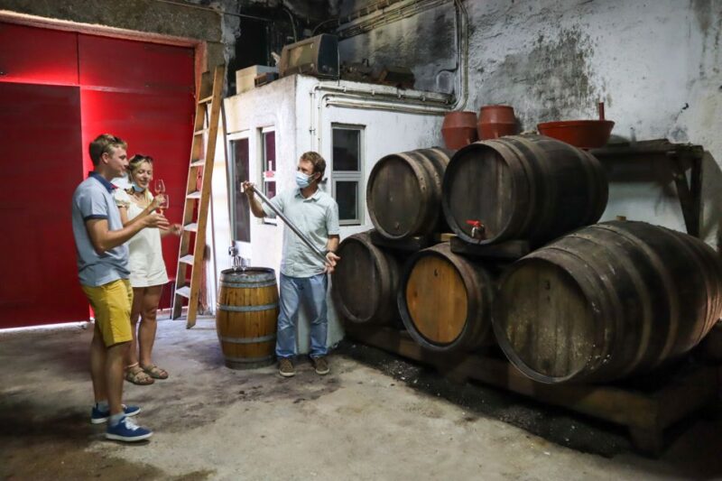 Douro Valley: Douro Valley Tour Including 3 Wineries - Flexibility and Booking Options