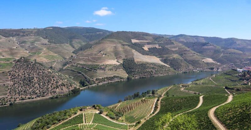 Douro Valley: Douro Valley Tour Including 3 Wineries - Who Will Enjoy This Tour Most?