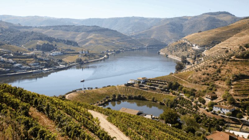 Douro Valley : Exclusive and Sustainable experience - Key Points