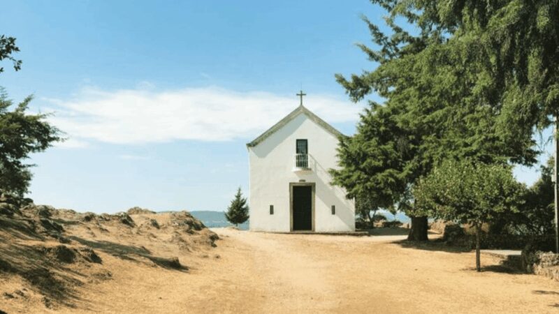 Douro Valley : Exclusive and Sustainable experience - Scenic Drive Along Portugals Famous N222 Road