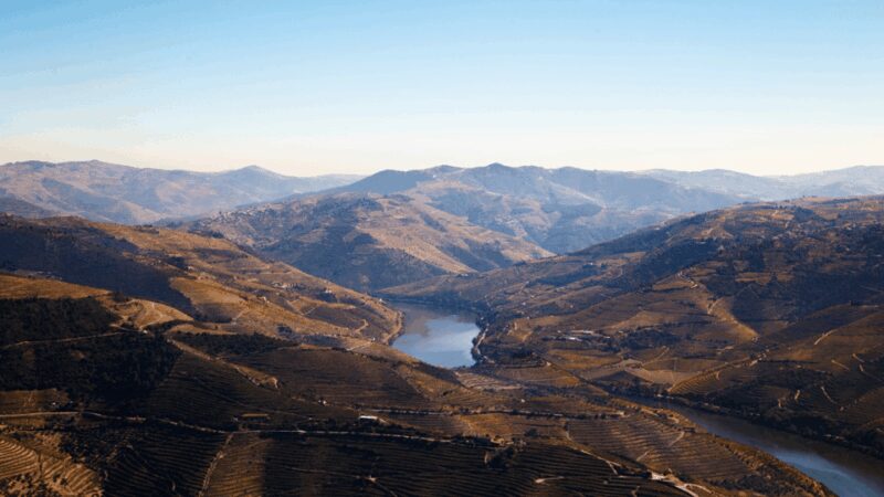 Douro Valley : Exclusive and Sustainable experience - Guided Visit and Wine Tasting at Quinta da Seara Dordens