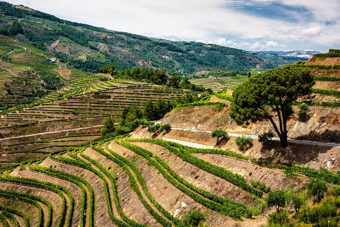 Douro Valley EXCLUSIVE Private Day Trip by Car with Boat Included - Tasting and Tour at Quinta do Infantado Winery