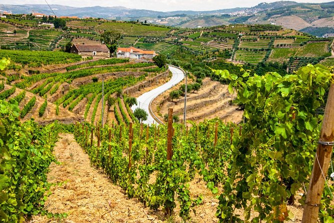 Douro Valley EXCLUSIVE Private Day Trip by Car with Boat Included - Scenic Lunch with a Local Recommendation