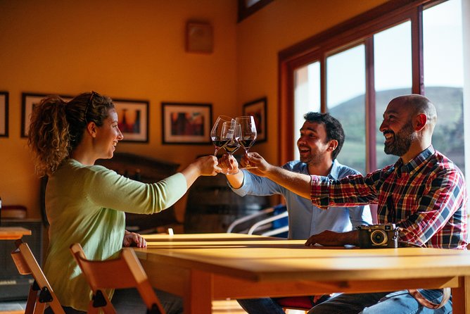 Douro Valley EXCLUSIVE Private Day Trip by Car with Boat Included - Logistics and Accessibility