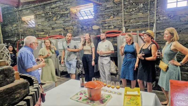 Douro Valley-Expert Guide-Boat-Lunch-Tastings PremiumService - How the Tour Starts and Ends in Porto