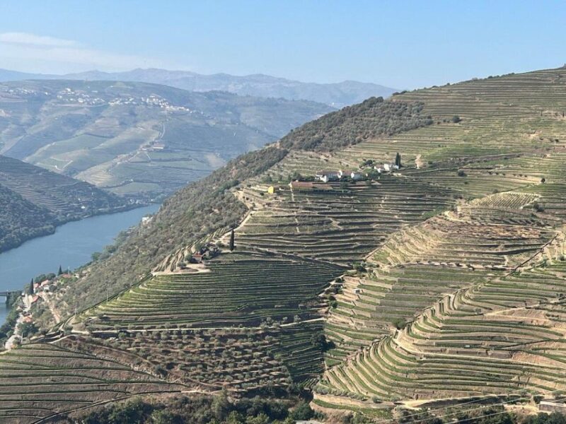 Douro Valley-Expert Guide-Boat-Lunch-Tastings PremiumService - The Pinhão Boat Cruise and Scenic Vistas