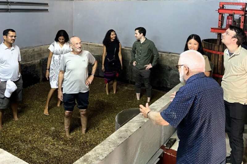 Douro Valley-Expert Guide-Boat-Lunch-Tastings PremiumService - The Small Group Advantage and Personalized Service