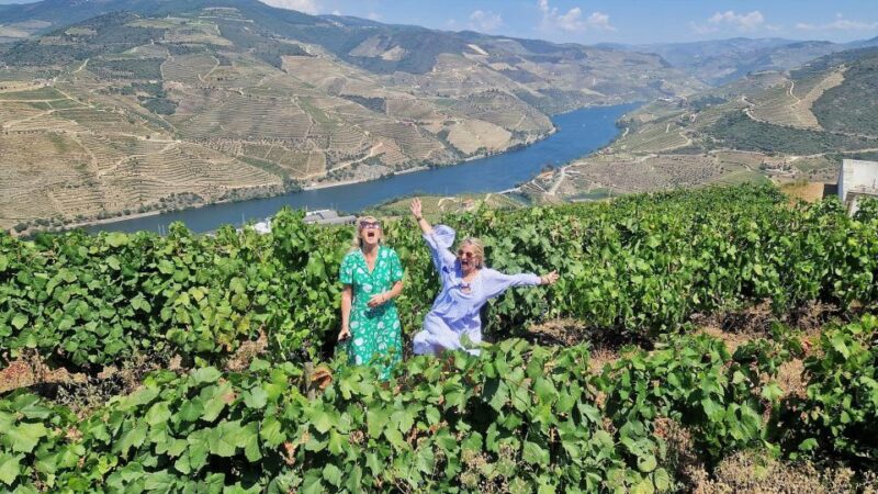 Douro Valley-Expert Guide-Boat-Lunch-Tastings PremiumService - What Sets This Tour Apart from Similar Experiences