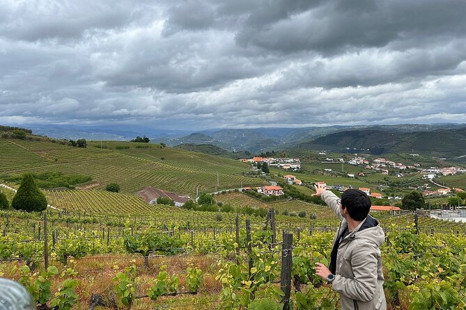 Douro Valley for Wine Lovers with Visit to 3 Vineyards and Lunch at a Winery - Scenic Drive and Douro Valley Landscape
