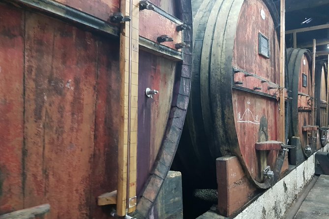 Douro Valley for Wine Lovers with Visit to 3 Vineyards and Lunch at a Winery - Douro Valley for Wine Lovers with Visit to 3 Vineyards and Lunch at a Winery: Final Thoughts