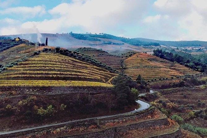 Douro Valley from Porto with Wineries, Lunch and Boat Trip - Key Points