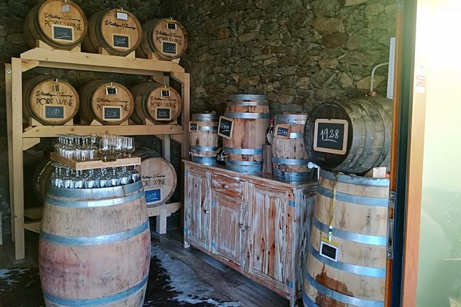 Douro Valley from Porto with Wineries, Lunch and Boat Trip - Visit to DOrigem - A Second Winery and Tasting