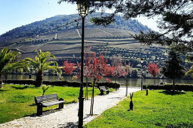 Douro Valley from Porto with Wineries, Lunch and Boat Trip - The Return Journey to Porto