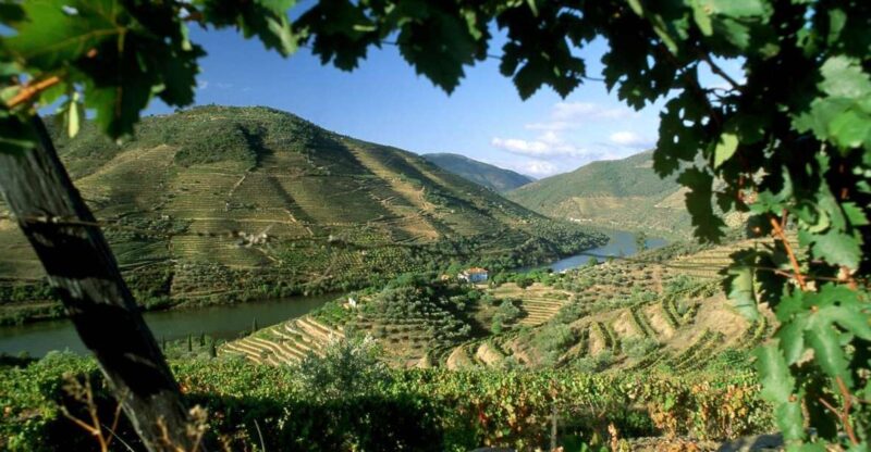Douro Valley: Full-Day Private Tour from Porto - Starting Point and Logistics in Porto
