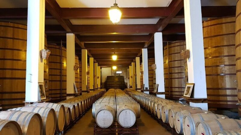 Douro Valley: Full-Day Private Tour from Porto - Régua: The Heart of the Douro Wine Region