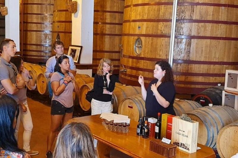 Douro Valley: Full-Day Private Tour from Porto - Port Wine Tasting at Quinta do Tedo