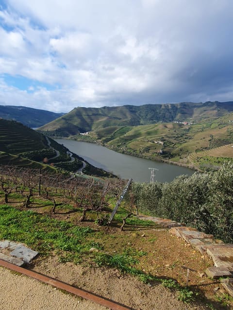 Douro Valley Full Day Tour From Lisbon - Exploring the UNESCO-Listed Alto Douro Wine Region