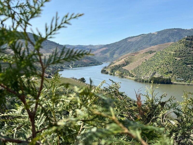 Douro Valley Full Day Tour From Lisbon - Scenic Drive Along the N222 Road
