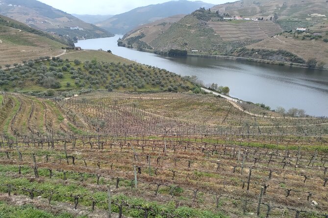 Douro Valley full experience with limited small group - Scenic Drive from Porto to the Douro Valley