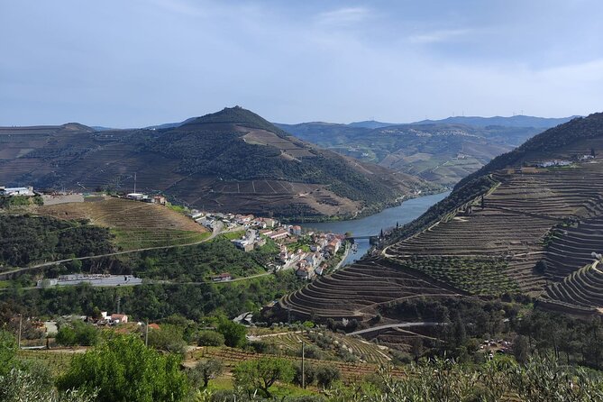 Douro Valley full experience with limited small group - Visiting the Historic Vintage House in Sabrosa