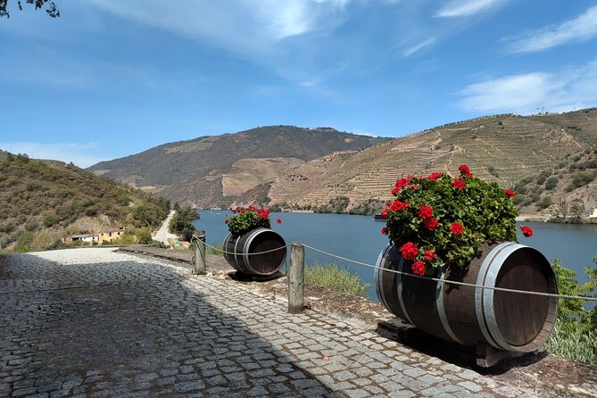 Douro Valley full experience with limited small group - The Unique Charm of the Douro Landscapes