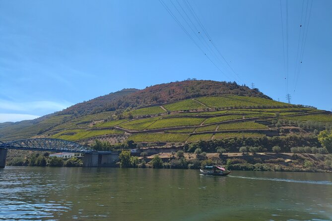 Douro Valley full experience with limited small group - Practical Details: Transportation and Group Size
