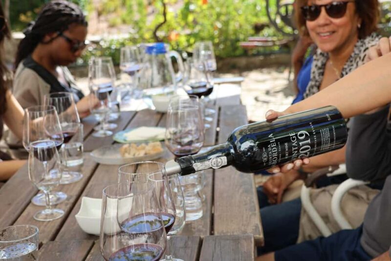 Douro Valley: Half-Day, with 1 winery & 1-h boat tour - Explore the Douro Valley’s Unique Charm