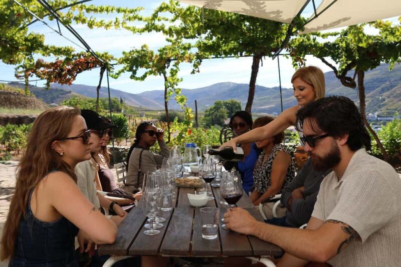 Douro Valley: Half-Day, with 1 winery & 1-h boat tour - Visiting the Douro Valley’s Small, Family-Run Winery