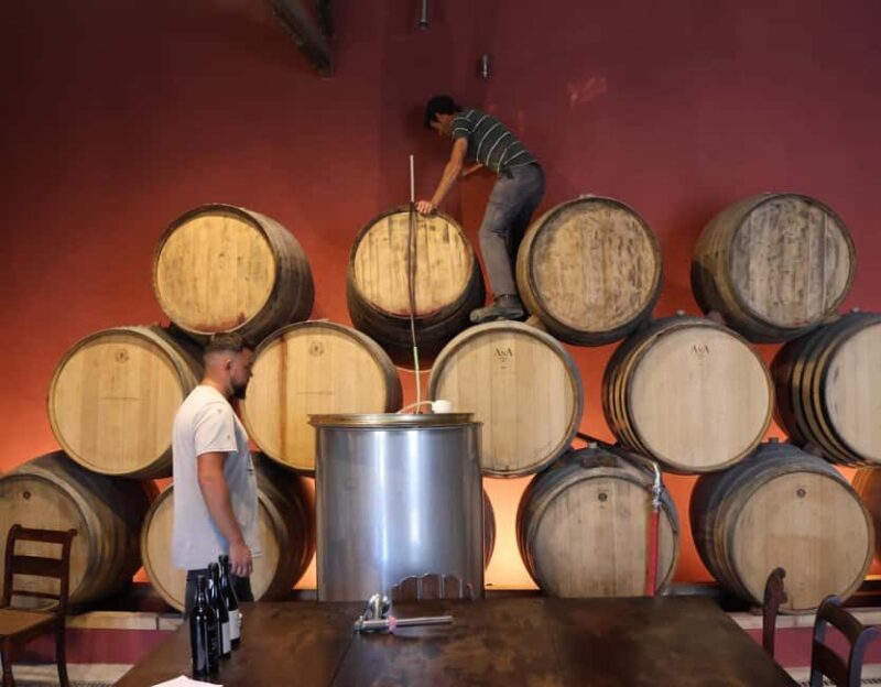 Douro Valley: Half-Day, with 1 winery & 1-h boat tour - Who Would Enjoy This Tour Most?