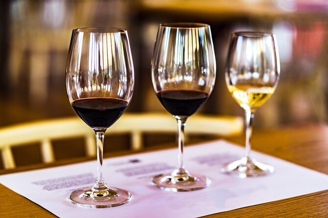 Douro Valley: Historical Sites, Wine Experience, Lunch & Cruise - Pinhão and the Traditional Rabelo Boat Cruise