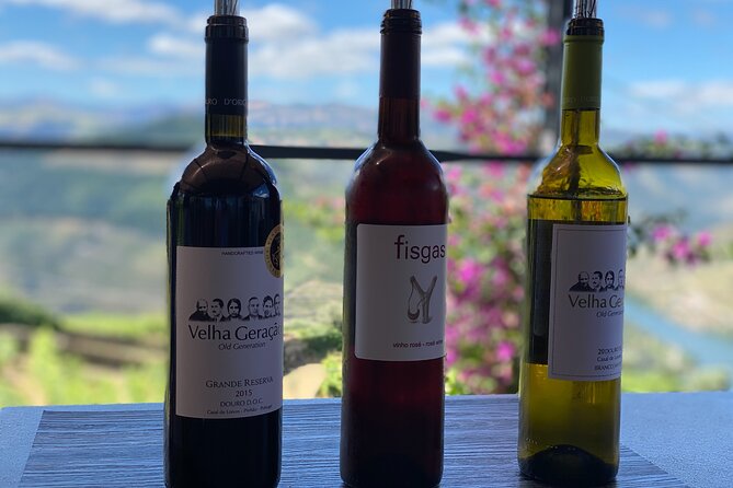 Douro Valley in a Tesla - Key Points