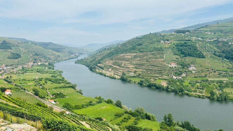 Douro Valley Journey: 4 Cities and Wine Estate All-Included - Key Points