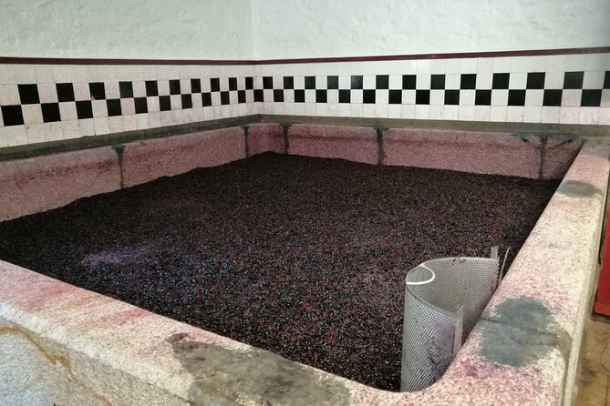 Douro valley Majestic - Why Choose the Douro Valley Majestic Tour