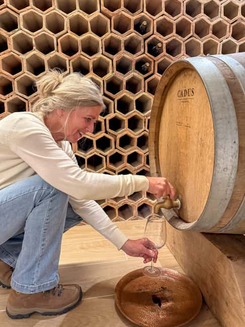 Douro Valley: Olive Oil & Wine Tour with Boat & Lunch - Who Will Love This Douro Valley Tour?