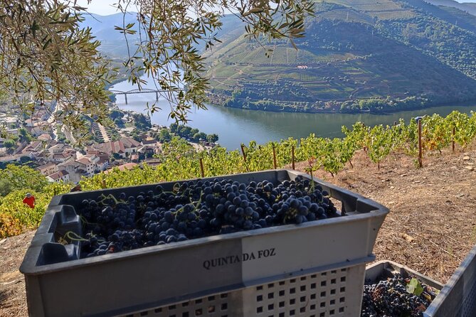 Douro Valley Pinhao Quinta da Foz Tour and Tasting 5 Wines - The Origins of Quinta da Foz in Pinhao