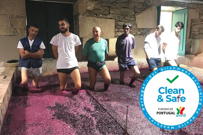 Douro Valley Premium Private - Exploring the Douro Valleys Vineyards and Wineries