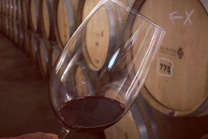 Douro Valley Premium Private - The Guide and Transportation Experience