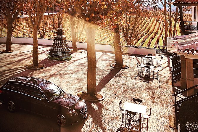 Douro Valley Premium Private - The Region’s Heritage and Unique Features